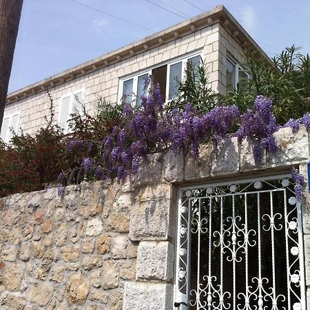 Apartments Jelen Dubrovnik Dış mekan fotoğraf
