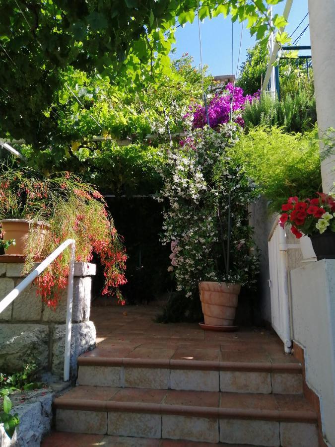 Apartments Jelen Dubrovnik Dış mekan fotoğraf