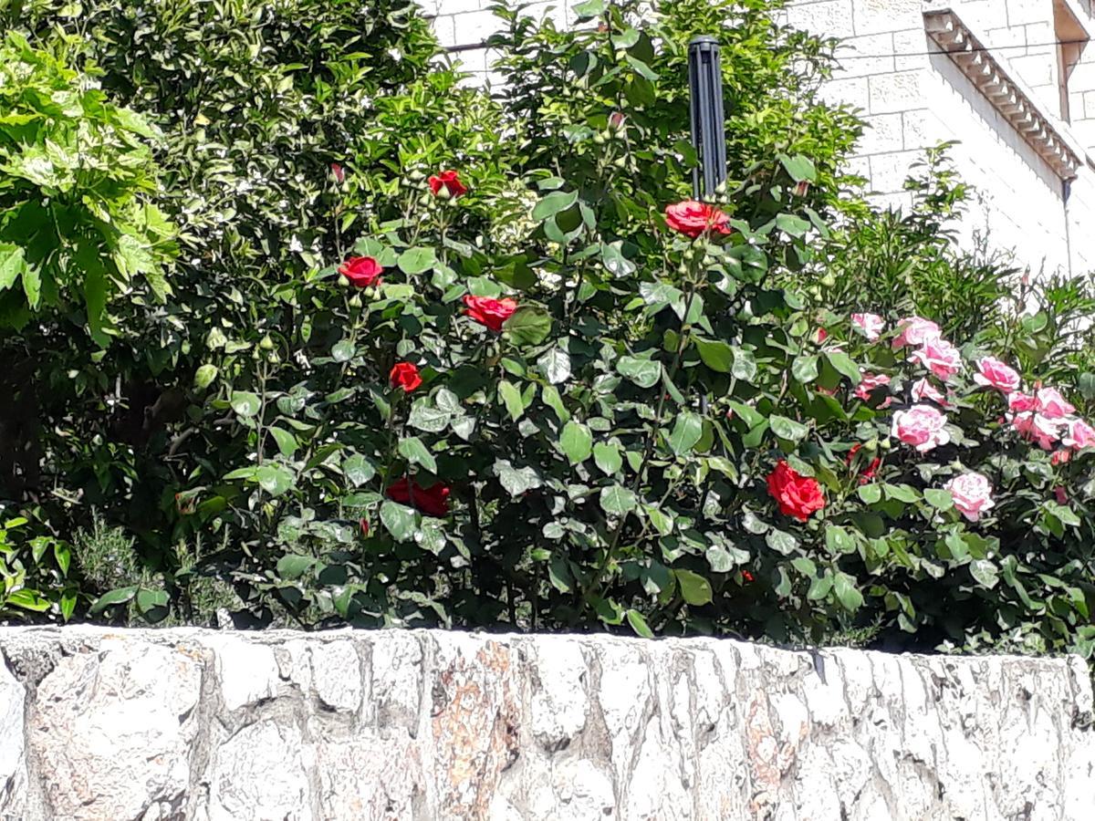 Apartments Jelen Dubrovnik Dış mekan fotoğraf
